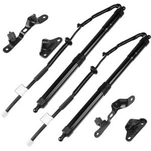 Toyota Rav4 Rear Hatch Lift Struts (2013-2018)