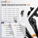 Toyota Rav4 Rear Hatch Lift Struts (2013-2018)