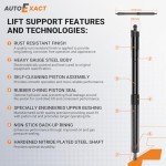 Toyota Rav4 Rear Hatch Lift Struts (2013-2018)