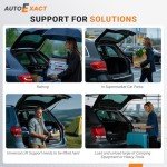 Toyota Rav4 Rear Hatch Lift Struts (2013-2018)
