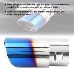 Blue Exhaust Pipe Tail Muffler Tip for Cars