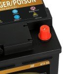 Weize Platinum AGM Group 49 Automotive Battery