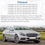 Engine Motor & Transmission Mount Kit for Mercedes-Benz