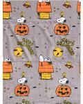Snoopy Woodstock Peanuts Happy Halloween Gray Throw Blanket 50x70