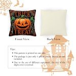Spooky Halloween Pillow Covers Set of 4