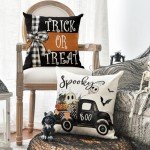Halloween Farmhouse Pillow Covers – Set of 4