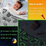 Glow in the Dark Black Cats and Bats Halloween Fleece Throw Blanket, 50 x 60