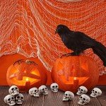10 Mini Halloween Skeleton Head Skulls for Decor