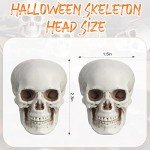 10 Mini Halloween Skeleton Head Skulls for Decor