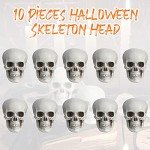 10 Mini Halloween Skeleton Head Skulls for Decor