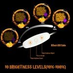 Trick or Treat Neon Halloween Wall Sign