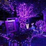 Glow Party Black Light String Lights - 100 LEDs