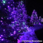 Glow Party Black Light String Lights - 100 LEDs