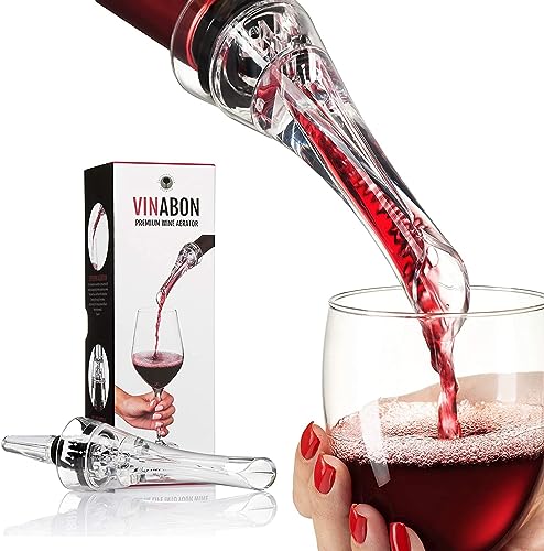 2-in-1 Professional Wine Aerator Pourer Spout