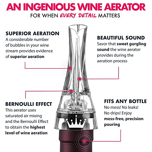 2-in-1 Professional Wine Aerator Pourer Spout