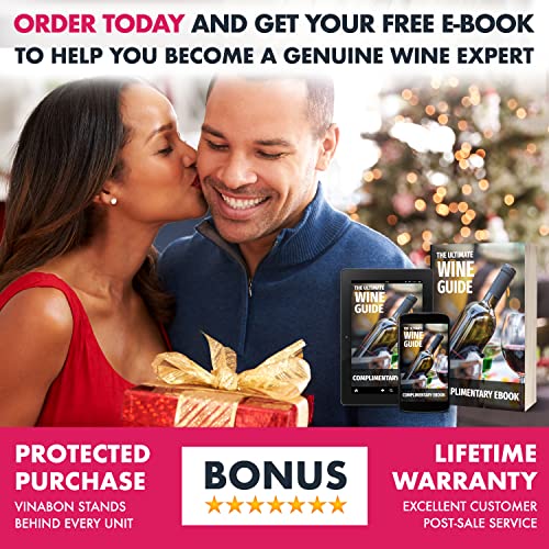 2-in-1 Professional Wine Aerator Pourer Spout