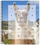 Farm Animals Sticker by Number eBook for Seniors