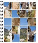 Farm Animals Sticker by Number eBook for Seniors