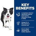 Senior Vitality Dog Food: Chicken & Rice Recipe