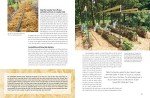 Straw Bale Gardening: Easy Veggies Anywhere for Seniors
