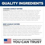 Senior Nutrition Wet Dog Food Variety Pack