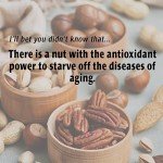 Abundant Health Guide for Seniors