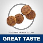 Hill's Science Diet Senior Vitality Dog Food