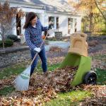 Easy Haul Wheelbarrow with Tool Storage - Green