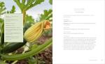 Raised-Bed Gardening for Beginners: A Simple Guide