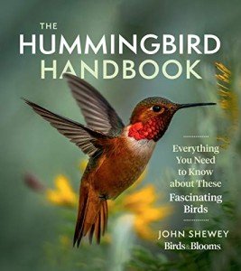 The Essential Hummingbird Handbook for Seniors