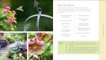 Gardening Made Easy: Joy for Every Age