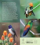 The Essential Hummingbird Handbook for Seniors