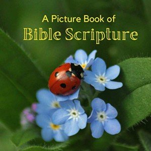 Large Print Bible Picture Book for Seniors