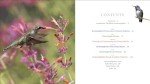 The Essential Hummingbird Handbook for Seniors