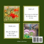 Large Print Bible Picture Book for Seniors
