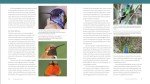 The Essential Hummingbird Handbook for Seniors