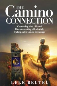 Walking the Camino: A Journey of Life and Loss