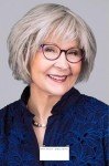 Now or Never: A Stephanie Plum Adventure