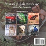 Cheerful Christmas Picture Book for Seniors