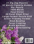 Zig Zag Word Search Book for Seniors