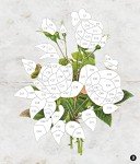 Vintage Flower Sticker by Number eBook for Seniors