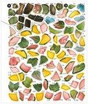 Vintage Flower Sticker by Number eBook for Seniors