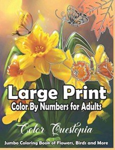 Large Print Color By Numbers for Seniors
