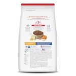 Healthy Dry Dog Food for Senior Dogs, 33 lb