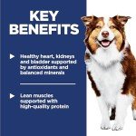 Healthy Dry Dog Food for Senior Dogs, 33 lb