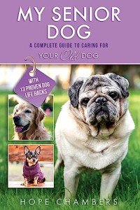 Caring for Your Senior Dog: A Complete Guide