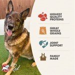 Senior Dog Nutrition: Fromm Gold Dry Food 5lb