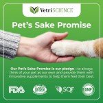 Senior Cat Multivitamin Chews with Lysine - 30 Count