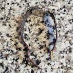 Vintage 33mm Boulevard Mechanical Men's Wristwatch