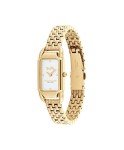 Coach Cadie Women's Vintage Watch – Timeless Style